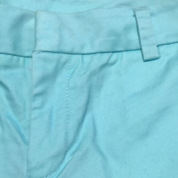 Stylus Aqua Dressy Shorts 8 - Picture 3 of 6